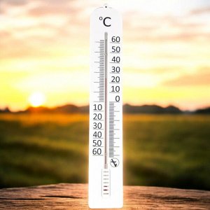 Термометр уличный, фасадный (длина 40 см.), диапазон измерения: от -50 до +50°C, ПТЗ, ТБ-45м