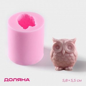 Молд Доляна «Совёнок», силикон, 5x5,5 см, цвет розовый
