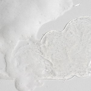 Нежный гель-пенка для умывания с комплексом церамидов Dual Barrier Mild Gel Cleanser, 200мл