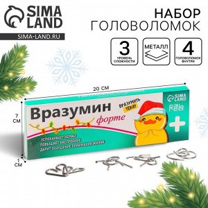 Металлические головоломки «Вразумин», набор 4 шт.
