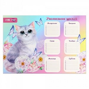 Расписание уроков А3 Воздушное чудо 9084465