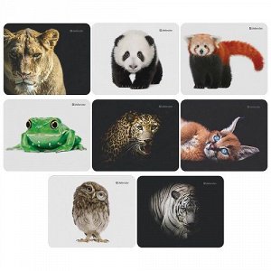 Коврик для мыши Defender Wild Animals резина+ткань ассорти 260623/50803