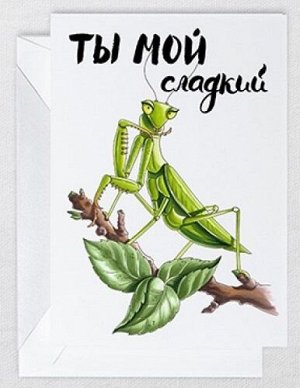 Открытка Богомол