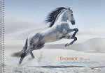Альбом для рисования А4 20л на гребне Грациозная лошадь БС20181