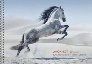 Альбом для рисования А4 20л на гребне Грациозная лошадь БС20181