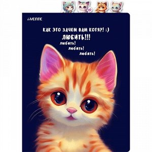 Папка-уголок А4 200мкм 8 отделов deVENTE Cats 3074302