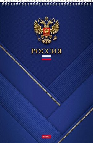 Блокнот А4 80л клетка на гребне синий Россия 80Б4В1сп_23516