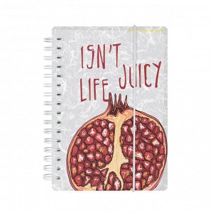 Записная книжка А6+ 80л клетка на гребне с резинкой CUTE JOURNAL ГРАНАТ 3-575/07
