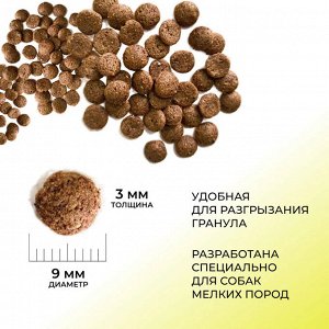Сухой корм Dailydog  для взрослых собак мелких пород c Ягненком и Говядина. 1,5 кг. Премиум. Россия