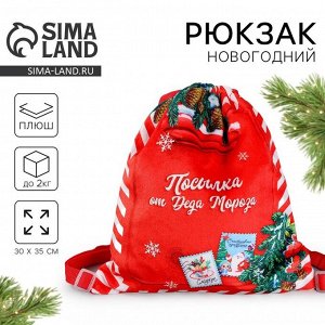 Рюкзак - мешок детский новогодний «Посылка от Деда Мороза», 35x30 см