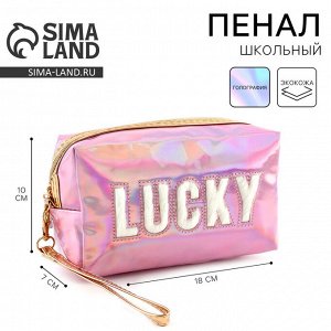 Пенал школьный, искусственная кожа, Lucky, 18x10x7 см