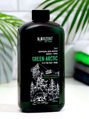 Шампунь-гель для волос и тела мужской GREEN ARCTIC ежедневный уход  2в1 500мл