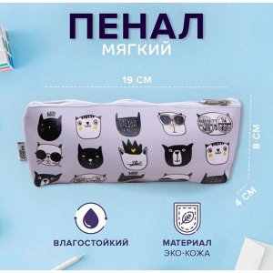Пенал школьный, искусственная кожа «Следуй за мной» 8x19x4 см