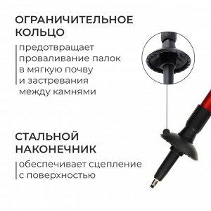 Палки для скандинавской ходьбы ONLYTOP, телескопические, 3 секции, до 135 см, 2 шт., цвет МИКС