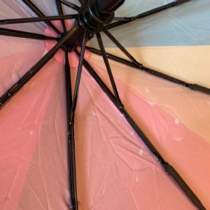 Зонт Женский зонт в 3 сложения, полный автомат. Модель прочная, надёжная.  Каркас зонта выполнен из 9 спиц, за счет чего зонт имеет хорошую натяжку  купола и выдерживает сильные порывы ветра. Зонт име