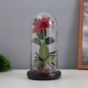 Фигурка светящаяся колба RISALUX «Паук с розой», LED-ночник, 1.5 Вт, 3xAAA, чёрный, USB, 11x11x21 см