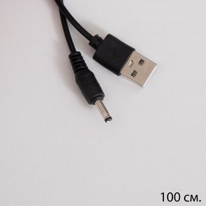 Фигурка светящаяся колба RISALUX «Паук с розой», LED-ночник, 1.5 Вт, 3xAAA, чёрный, USB, 11x11x21 см