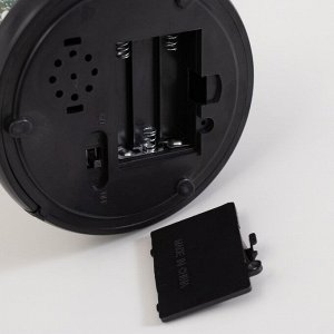 Фигурка светящаяся колба RISALUX «Череп с пауками», LED-ночник, 1.5 Вт, 3xAAA, чёрный, USB, 11x11x21 см