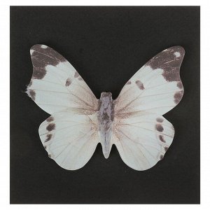 Блок с липким краем, «Бабочки», 30 листов, МИКС
