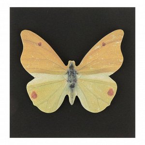 Блок с липким краем, «Бабочки», 30 листов, МИКС