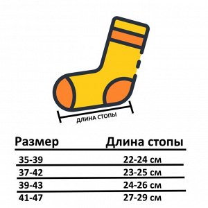 Размерная сетка