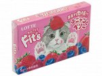 Резинка жевательная FIT`S Funny&amp;Berry ягодная, Lotte, 24.6 г, 1/10/200