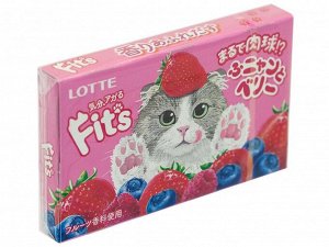 Резинка жевательная FIT`S Funny&Berry ягодная, Lotte, 24.6 г, 1/10/200