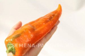 Перец сладкий Пиккадили