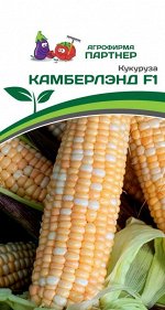 Кукуруза Камберлэнд