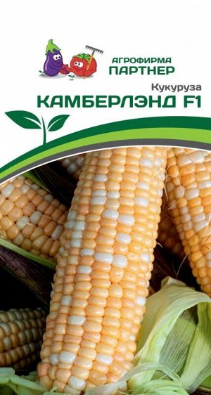 Кукуруза Камберлэнд