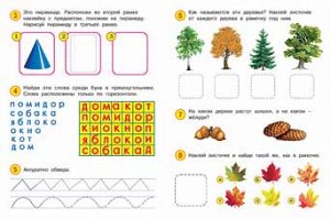 Развивающие задания 4-5 лет