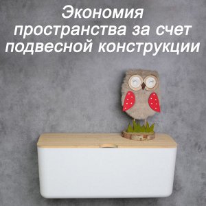 Органайзер для проводов (кабель-бокс) подвесной 2316