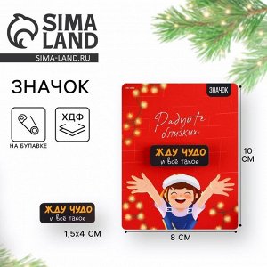 Значок новогодний «Радуйте близких», 4x1.5 см