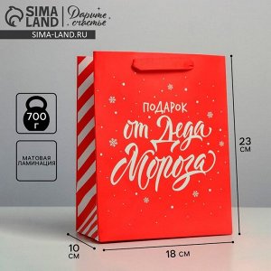 Пакет подарочный новогодний ламинированный «Подарок от Деда Мороза», MS 18 х 23 х 10 см