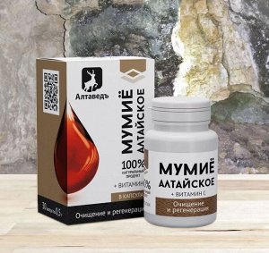 Концентрат пищевой Натурведъ № 4 Мумие алтайское