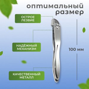 Кусачки - книпсер педикюрные, скошенное лезвие, 10 см