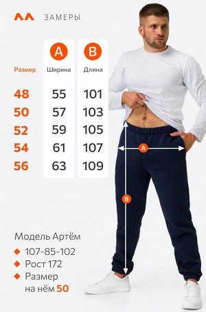 Мужские брюки из футера с начесом Happyfox
