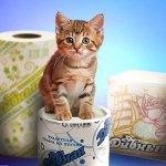 Туалетная бумага, салфетки и полотенца ТМ Дивная