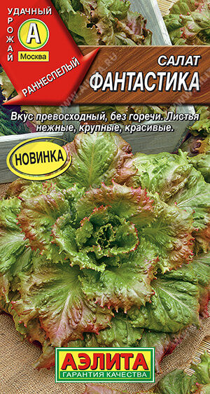 Салат Фантастика