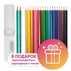 Карандаши Calligrata, цветные, 18 цветов, эконом, шестигранные, пластиковые, пенал-тубус и 2 чернографитных карандаша с ластиком в ПОДАРОК