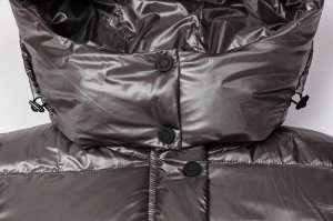 Пальто Модный и стильный женский пуховик уже давно стал неотъемлемой частью гардероба на холодное время года. Современные модели женских зимних пуховиков сочетают в себе практичность, качество и соотв