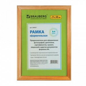 Рамка 21*30см, дерево, багет 18 мм, BRAUBERG HIT, канадская