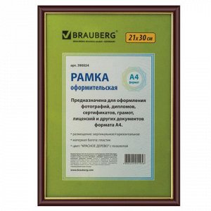 Рамка BRAUBERG HIT 21*30см, пластик, красное дерево с позоло