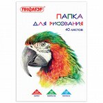 Папка для рисования, А4, 40 л., 120 г/м2, ПИФАГОР, 210х297 м