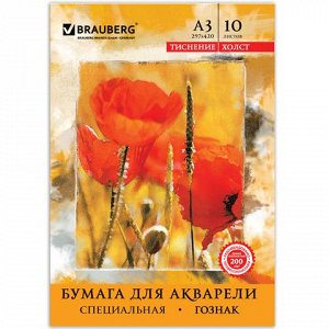 Папка для акварели БОЛЬШОГО ФОРМАТА, А3, 10л., бумага ГОЗНАК