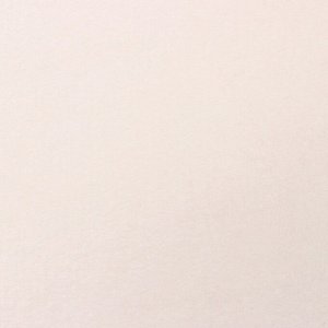 Плед «Этель», 180x200 см, корал-флис 220 г/м², молочный