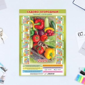 Календарь листовой А3 «Садово-огородный» 2025 год, 30x42 см