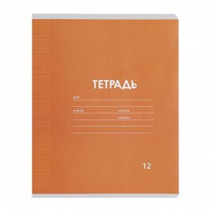 Набор тетрадей 12 листов в узкую линейку Calligrata «Однотонная Классика», обложка мелованная бумага, серые листы
