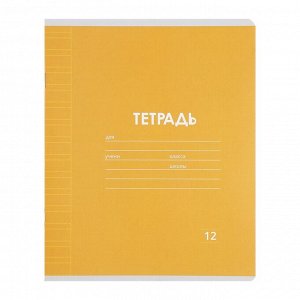 Набор тетрадей 12 листов в узкую линейку Calligrata «Однотонная Классика», обложка мелованная бумага, серые листы