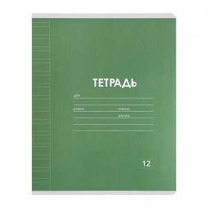 Набор тетрадей 12 листов в узкую линейку Calligrata «Однотонная Классика», обложка мелованная бумага, серые листы
